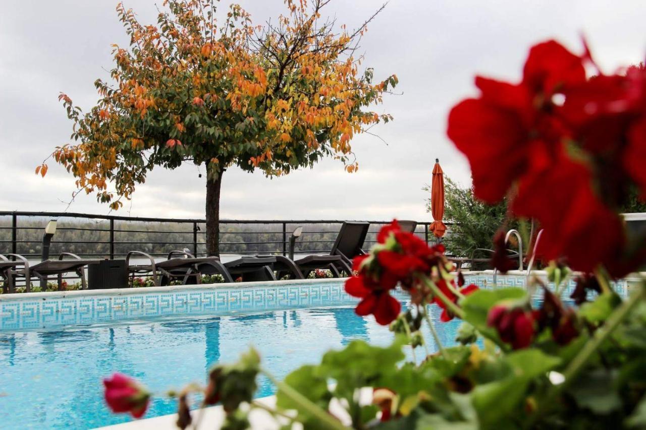 Guest House Panorama Aqualux With Free Parking Нови-Сад Экстерьер фото